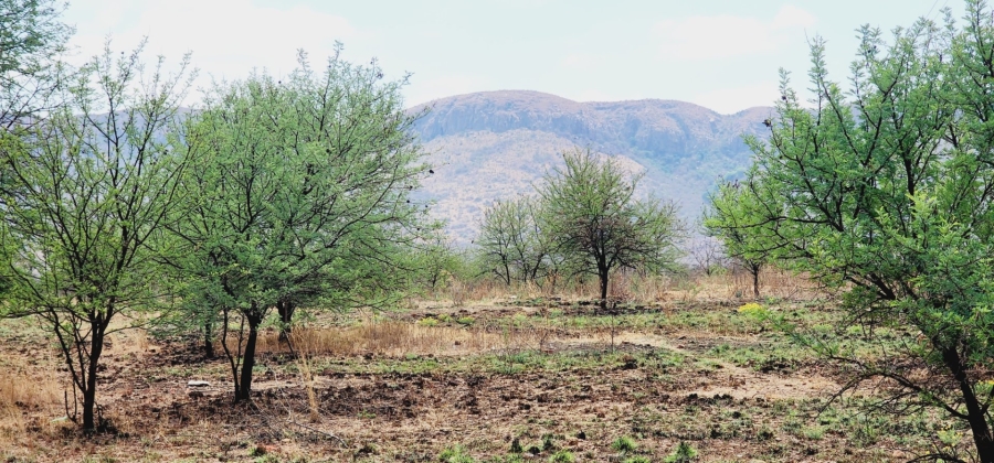  Bedroom Property for Sale in Rietfontein A H North West